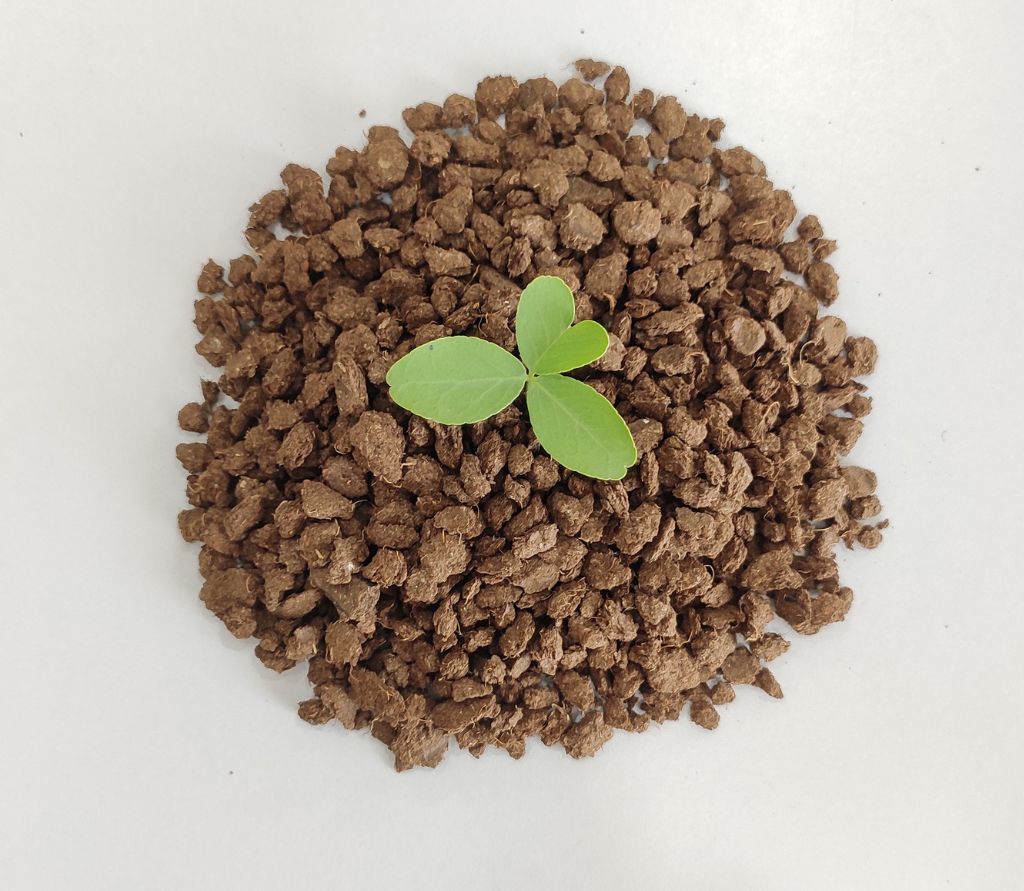 granules