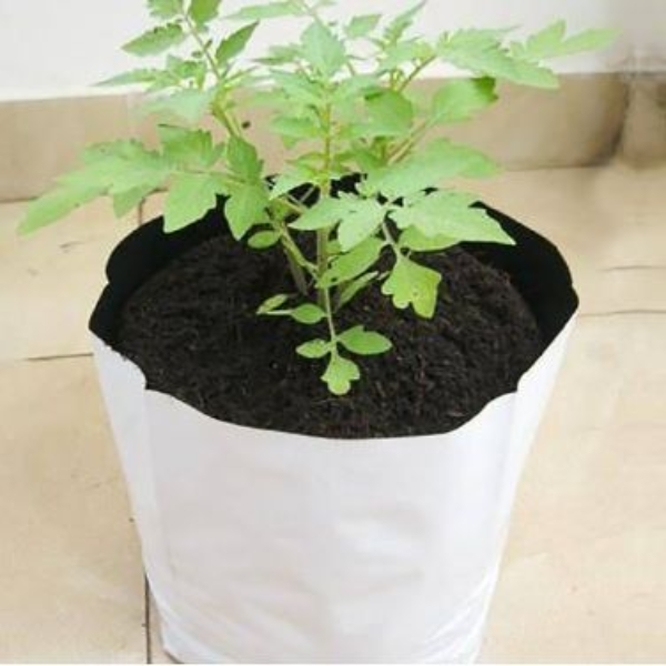 coir