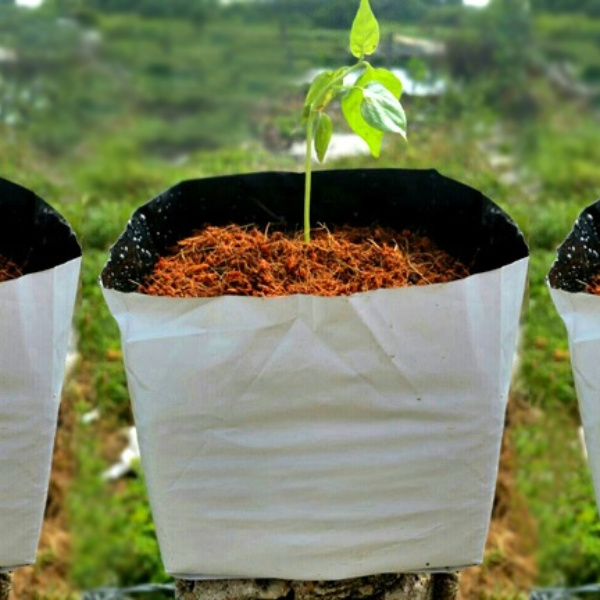 Cocopeat
